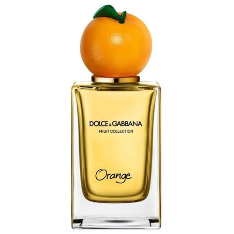 dolce and gabbana orange